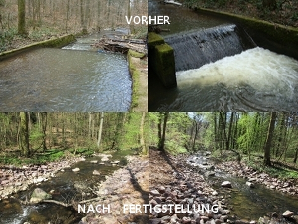 Obere_Stegmuehle
